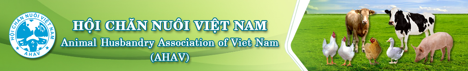 Logo banner