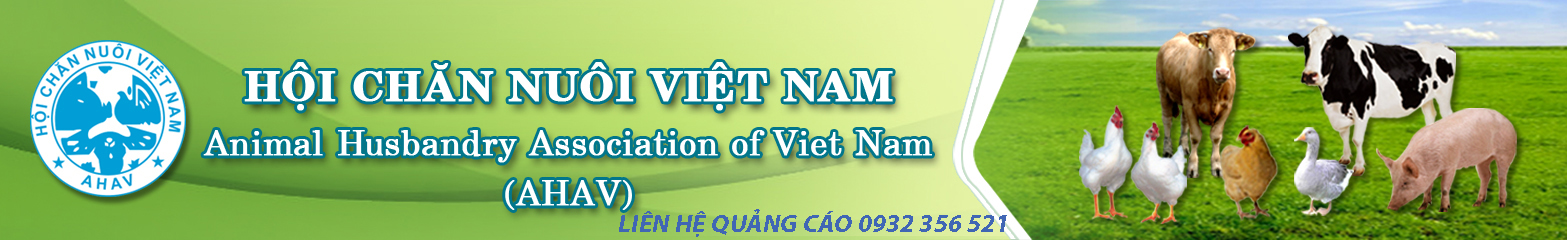 Logo banner