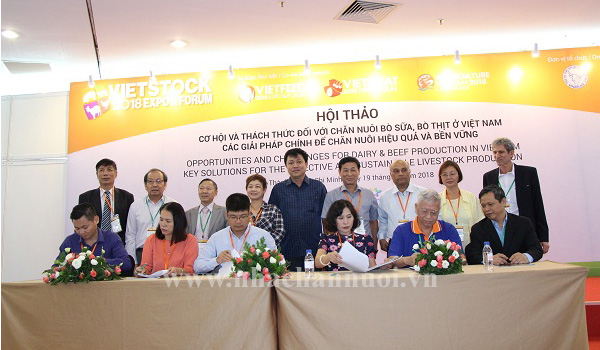 Cơ hội và thách thức đối với chăn nuôi bò sữa, bò thịt ở Việt Nam