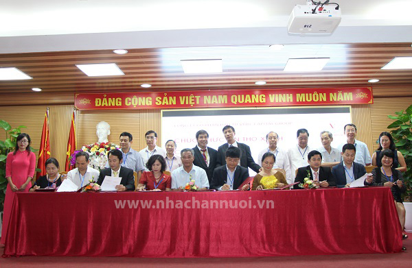 Quản lý, phát triển ngành chăn nuôi gia súc lớn theo chuỗi hiệu quả và bền vững