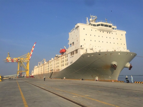 Hòa Phát: Mới nhập 13.000 bò Úc về Việt Nam