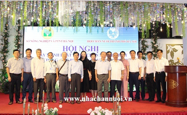 Hà Nội: Bàn giải pháp nâng tầm chăn nuôi bò thịt