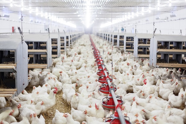 LYSAGHT AGRISHED: ĐÁNH DẤU 2 NĂM THAM GIA THỊ TRƯỜNG VIỆT NAM VÀ ĐỒNG HÀNH CÙNG CUỘC ĐỔI MỚI CỦA NGÀNH NÔNG NGHIỆP