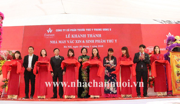cong-ty-fivevet-khanh-thanh-nha-may-vac-xin-va-sinh-pham-thu-y