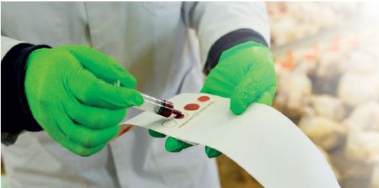 MYCO-MARKER® & ESCENT S: Thay đổi cách quản lý stress do độc tố nấm mốc gây ra