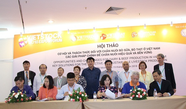 Công ty VBBC Capital Group: Hợp tác sản xuất thức ăn thô xanh cho gia súc lớn