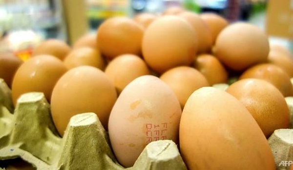 ba-lan-thu-hoi-hang-trieu-qua-trung-ga-chua-du-luong-khang-sinh