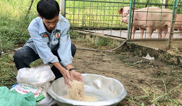 bac-ninh-nuoi-lon-thao-duoc-an-toan-vung-ben