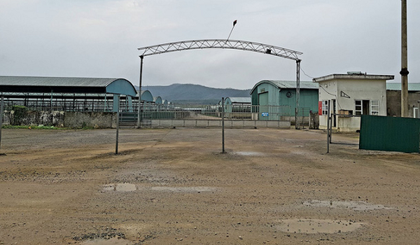 bat-nguyen-tong-giam-doc-cong-ty-chan-nuoi-chiem-doat-110-ti