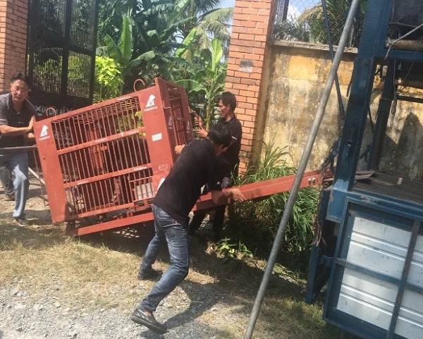Bình Dương: Chuyển giao Gấu ngựa cho Trung tâm cứu hộ động vật hoang dã Tam Đảo