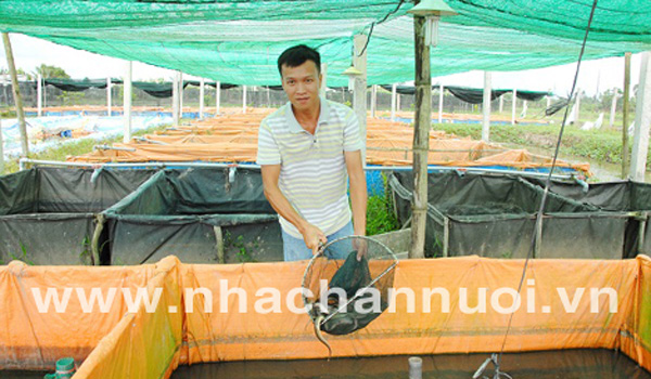 bo-bang-ky-su-cong-nghe-thong-tin-ve-nha-nuoi-luon