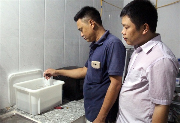 Bỏ phố lên rừng nuôi lợn sạch kiếm tiền tỷ mỗi năm