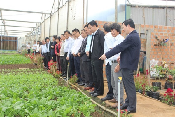 Bộ trưởng Nguyễn Xuân Cường: Gia Lai cần phát huy tiềm năng chăn nuôi đại gia súc