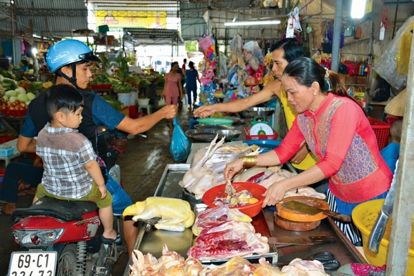 ca-mau-tang-cuong-quan-ly-gia-suc-gia-cam-nhap-tinh