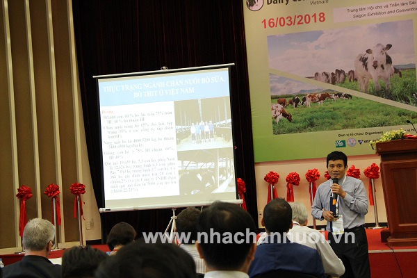 Các giải pháp phát triển chăn nuôi bò sữa, bò thịt hiệu quả và bền vững