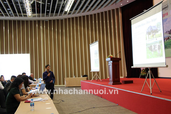 Các giải pháp phát triển chăn nuôi bò sữa, bò thịt hiệu quả và bền vững