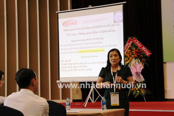 Các giải pháp phát triển chăn nuôi bò sữa, bò thịt hiệu quả và bền vững