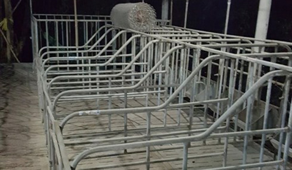 Cần quy định hạn ngạch cho doanh nghiệp FDI nuôi heo?