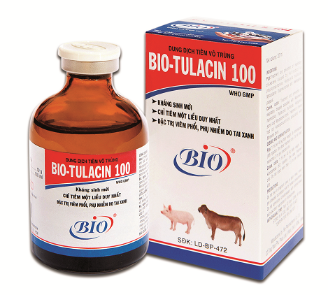 Chăm sóc nái đẻ đúng kỹ thuật