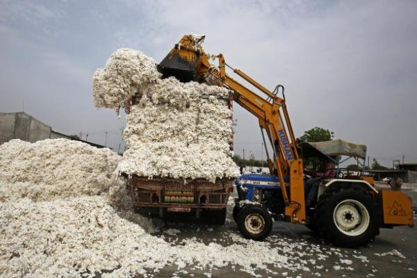 Chiến tranh thương mại gây xáo trộn dòng chảy nông sản toàn cầu