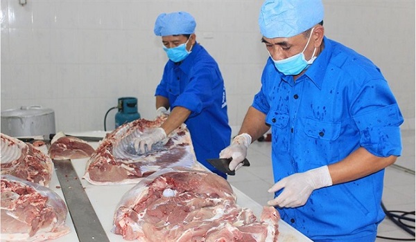 dau-an-chan-nuoi-ha-noi-chan-nuoi-khep-kin