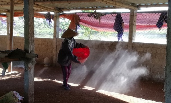 Diễn Châu (Nghệ An): Xuất hiện dịch cúm gia cầm trên đàn vịt 2.460 con