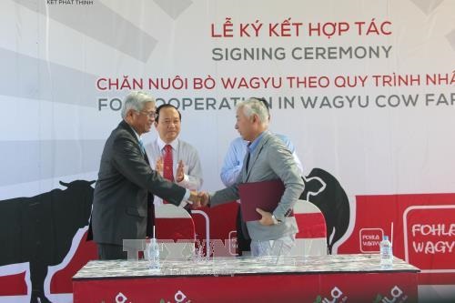 doanh-nghiep-viet-nam-va-nhat-ban-hop-tac-chan-nuoi-bo-waguy