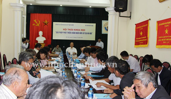 Giải pháp phát triển chăn nuôi hữu cơ tại Hà Nội