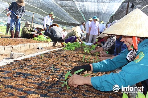 Hà Tĩnh: Dự án nuôi bò 5.000 tỉ Bình Hà chết yểu "hun nóng" cuộc họp HĐND tỉnh