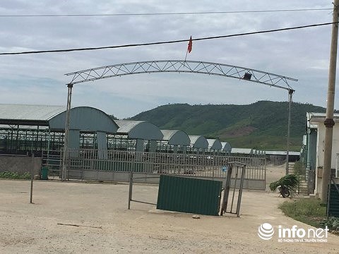 Hà Tĩnh: Dự án nuôi bò 5.000 tỉ Bình Hà chết yểu "hun nóng" cuộc họp HĐND tỉnh
