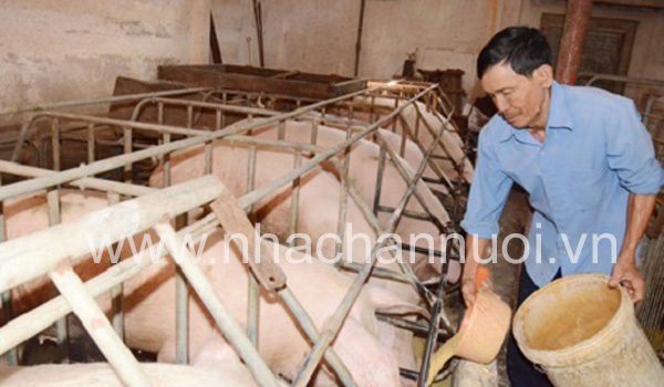 hoi-chan-nuoi-viet-nam-kien-nghi-chu-tich-quoc-hoi-va-thu-tuong-chinh-phu-go-kho-cho-nganh-chan-nuoi