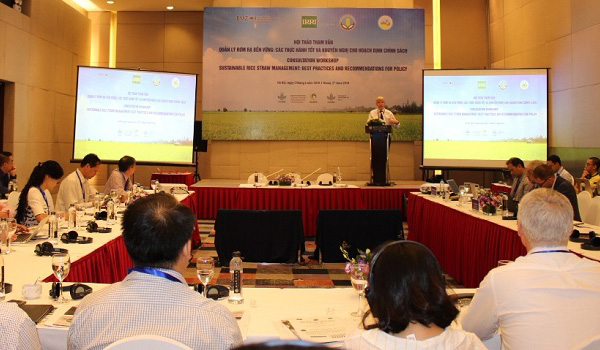 Hội thảo quản lý rơm rạ bền vững: Các thực hành tốt và khuyến nghị cho hoạch định chính sách