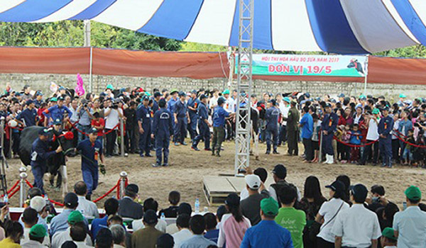 Hội thi Hoa hậu bò sữa Mộc Châu lần thứ 14 – năm 2017