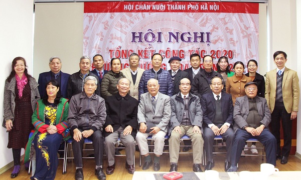 Hội Chăn nuôi Hà Nội: Đóng góp lớn vào thành tựu chăn nuôi Thủ đô