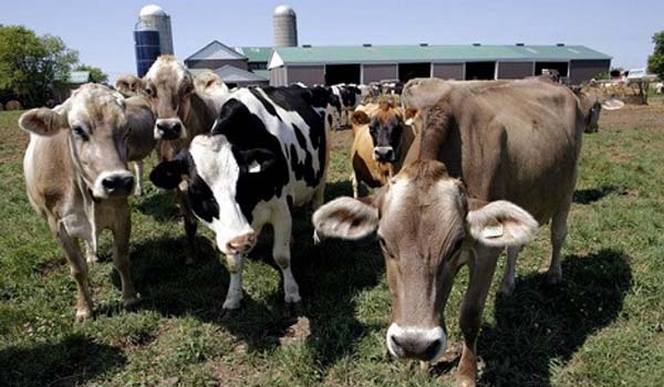 khi-methane-thach-thuc-trong-cuoc-chien-am-len-toan-cau