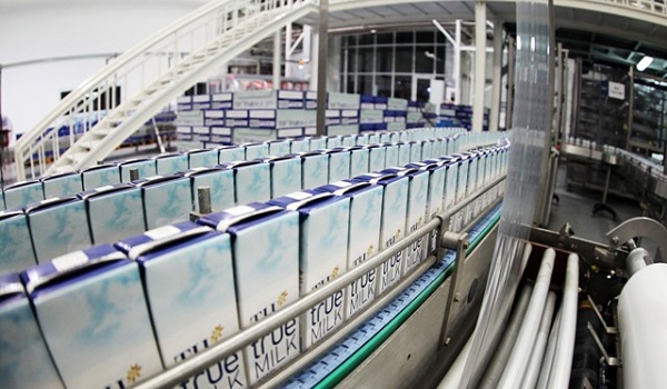 Kiểm dịch xuất khẩu sữa và sản phẩm sữa từ Việt Nam sang các nước ngày càng tăng