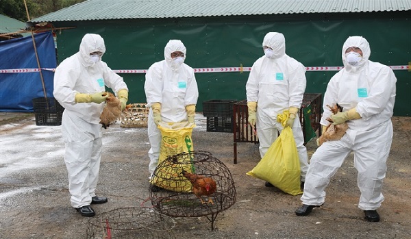 Cắt giảm danh mục hàng hóa thuộc đối tượng phải kiểm dịch động vật, thủy sản