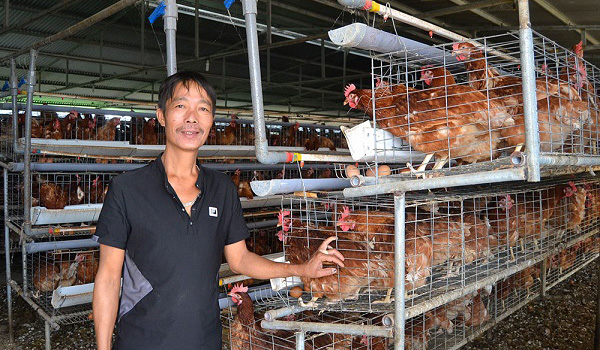 la-ma-hay-nuoi-heo-ga-tu-dong-chi-ban-phan-da-co-30-trieu-dong