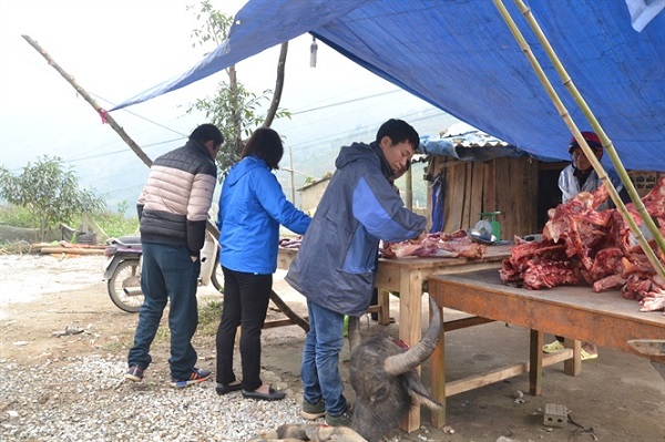 Miền Bắc chìm trong rét buốt, nhiều nơi 'căng mình' phòng chống gia súc chết