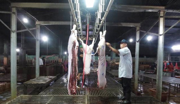 Mô hình giết mổ gia súc tập trung an toàn, bảo vệ môi trường