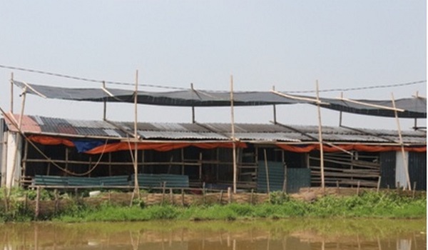 mot-so-bien-phap-ky-thuat-chong-nang-nong-cho-vat-nuoi-trong-mua-he