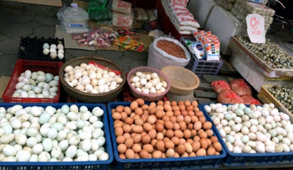 nguoi-chan-nuoi-lai-lon-vi-gia-trung-gia-cam-tang-manh