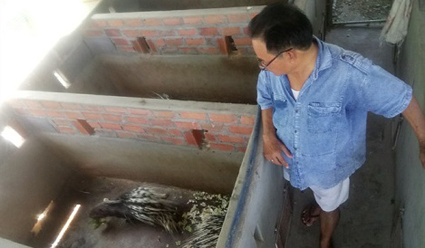 nguoi-nuoi-nhim-thanh-cong-nhat-khanh-hoa-thu-ty-dong-2-nam