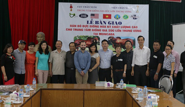 Nhập thêm 10 con bò đực Brahman đỏ từ Mỹ