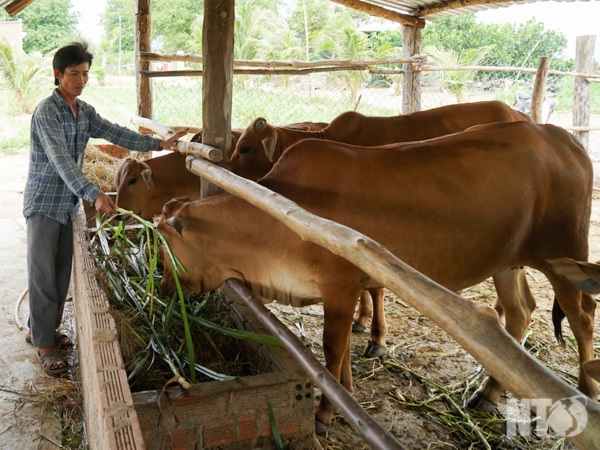 ninh-thuan-dam-nghi-dam-lam-de-phat-trien-kinh-te