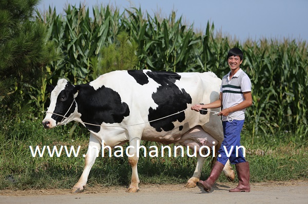 nong-nghiep-huu-co-khong-phai-chuyen-de