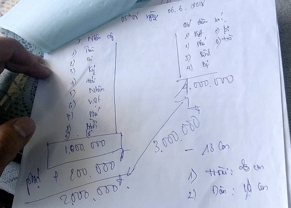 Phạt bò chạy rông như phạt xe vi phạm giao thông