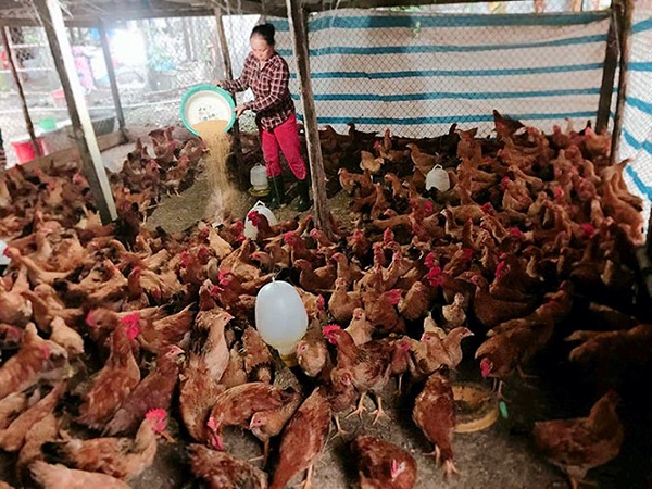 quang-binh-nguoi-phu-nu-lam-giau-tren-dong-dat-que-huong