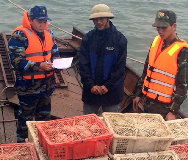 quang-ninh-van-chuyen-gan-3000-con-chim-bo-cau-nhap-lau
