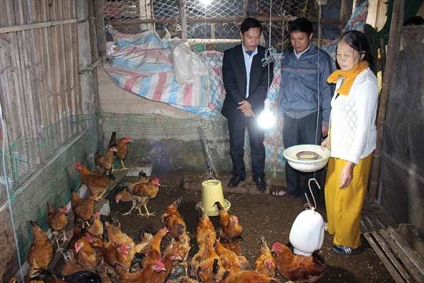 quang-tri-nuoi-ga-giua-pho-khong-gay-o-nhiem-moi-truong